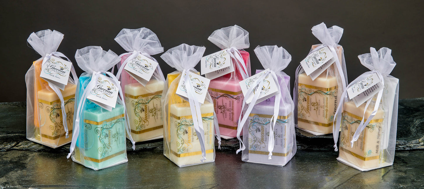 Goat's Milk Soap & Lotion Tube Gift Set-Coco Mango